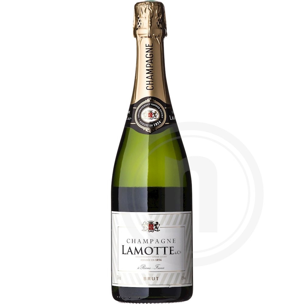 Champagne Lamotte – køb online hos nemlig.com